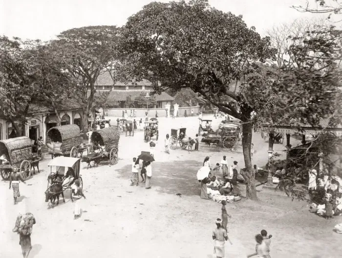 Framed Print : Busy street scene with bullock carts, India, c. 1880 s Framed Print : Busy street scene with bullock carts, India, c. 1880 s