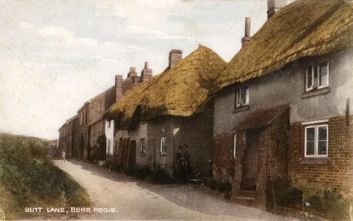 Framed Print : Butt Lane, Bere Regis, Dorset Framed Print : Butt Lane, Bere Regis, Dorset