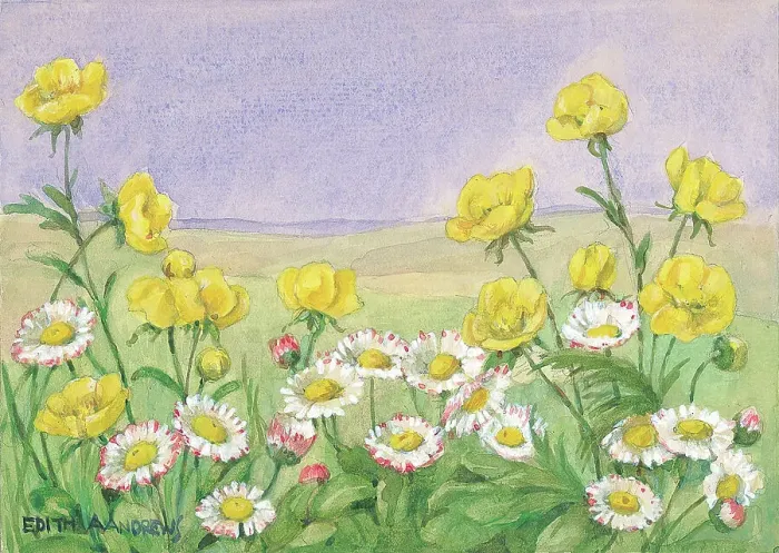 Framed Print : Buttercups and Daisies - Gardens Framed Print : Buttercups and Daisies - Gardens