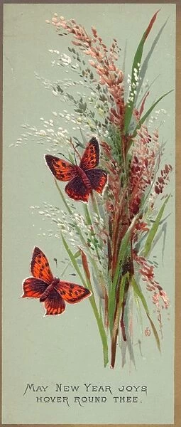Butterflies and flowers on a New Year card