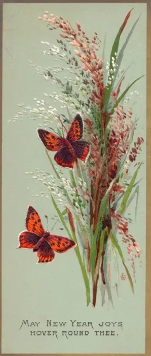 Framed Print : Butterflies and flowers on a New Year card Framed Print : Butterflies and flowers on a New Year card