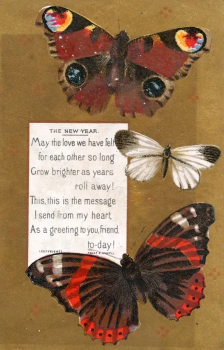 Framed Print : Three butterflies on a New Year card Framed Print : Three butterflies on a New Year card