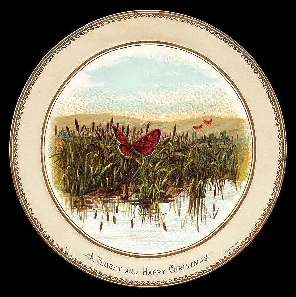 Butterflies, water and reeds on a Christmas card