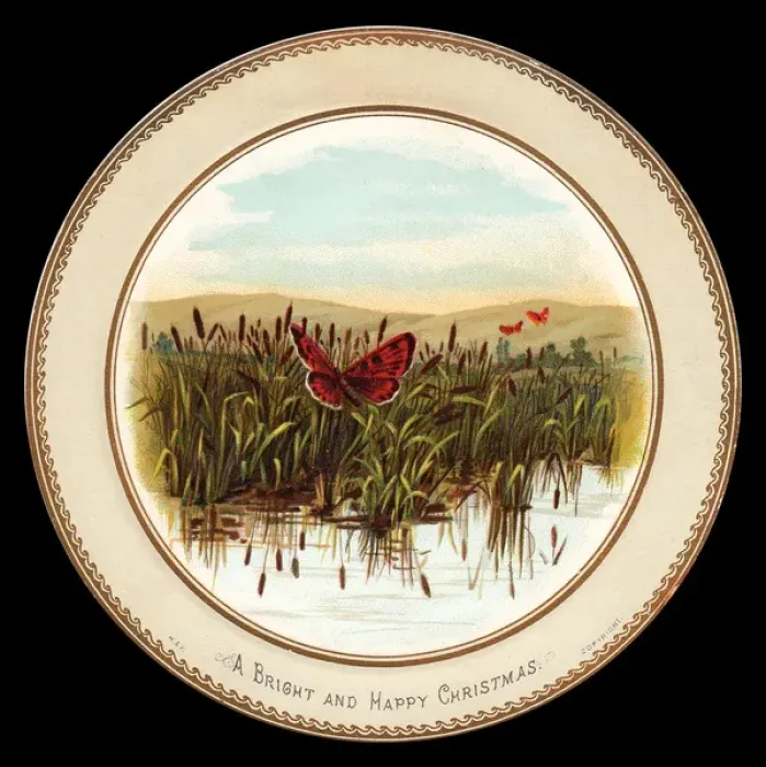 Framed Print : Butterflies, water and reeds on a Christmas card Framed Print : Butterflies, water and reeds on a Christmas card