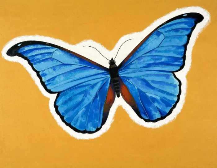 Framed Print : Butterfly Framed Print : Butterfly