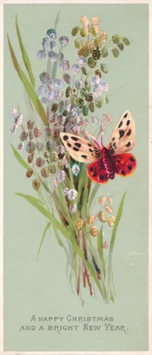 Framed Print : Butterfly and flowers on a Christmas and New Year card Framed Print : Butterfly and flowers on a Christmas and New Year card