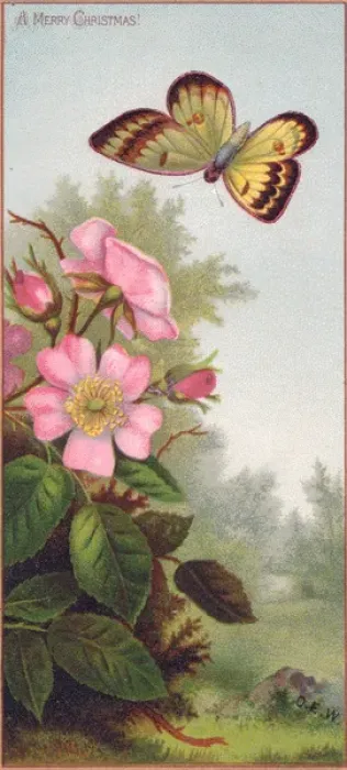 Framed Print : Butterfly and pink flowers on a Christmas card Framed Print : Butterfly and pink flowers on a Christmas card