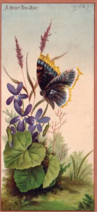 Framed Print : Butterfly and purple flowers on a New Year card Framed Print : Butterfly and purple flowers on a New Year card