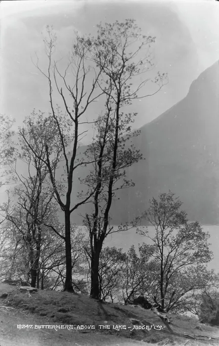 Framed Print : Buttermere Above the Lake Framed Print : Buttermere Above the Lake