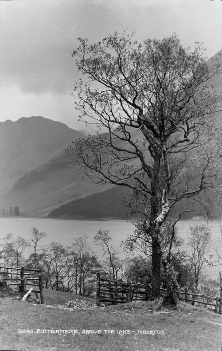 Framed Print : Buttermere Above the Lake Framed Print : Buttermere Above the Lake