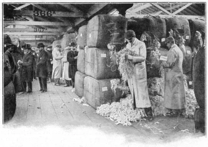 Framed Print : Buyers sampling wool at London Docks Framed Print : Buyers sampling wool at London Docks