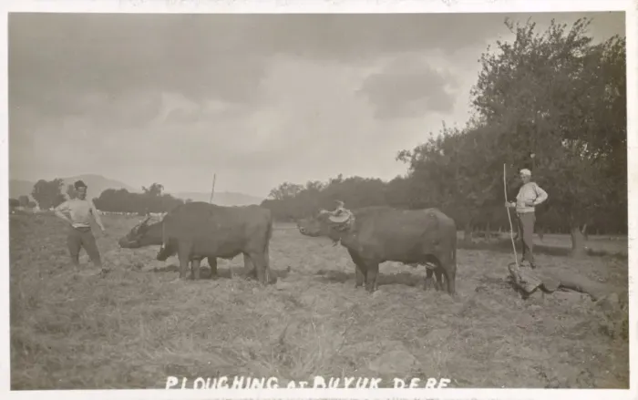 Framed Print : Buyukdere - Village by Bosphorous - Ploughing Framed Print : Buyukdere - Village by Bosphorous - Ploughing