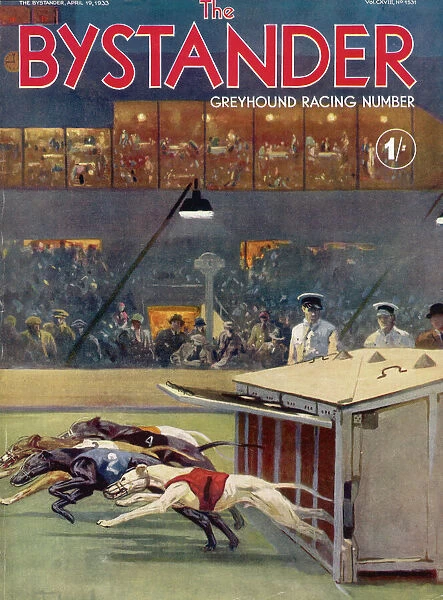 Bystander Greyhound Racing Number