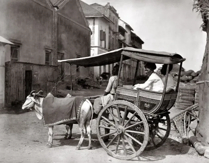Framed Print : c. 1870s India - bullock hackney carriage Framed Print : c. 1870s India - bullock hackney carriage