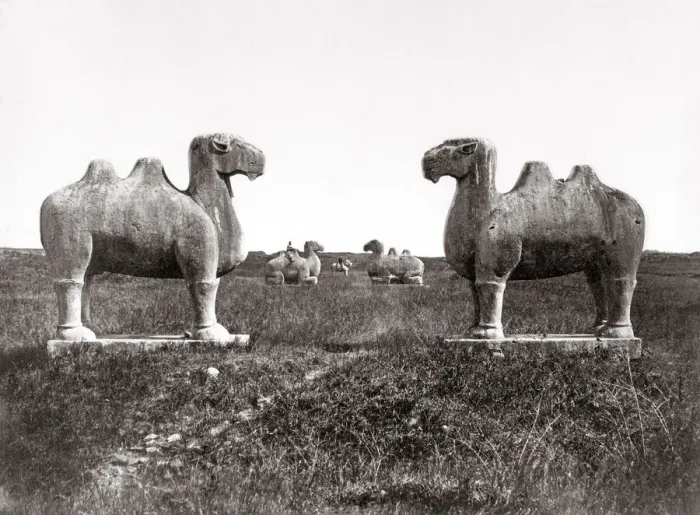 Framed Print : c. 1880s China - stone animals Ming Tombs Framed Print : c. 1880s China - stone animals Ming Tombs