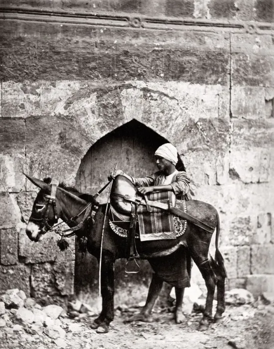 Framed Print : c. 1880s Egypt Cairo - man and his transport donkey Framed Print : c. 1880s Egypt Cairo - man and his transport donkey