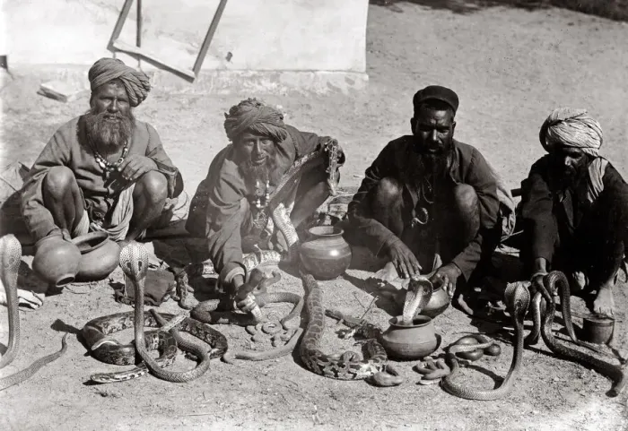 Framed Print : c. 1880s India snake charmers Framed Print : c. 1880s India snake charmers