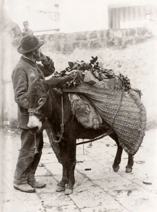 Framed Print : c. 1880s Italy - Italy, probably Sicily street vendor and don Framed Print : c. 1880s Italy - Italy, probably Sicily street vendor and don