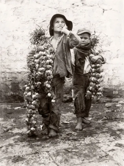 Framed Print : c. 1880s Italy - Italy, probably Sicily street vendors, boys Framed Print : c. 1880s Italy - Italy, probably Sicily street vendors, boys