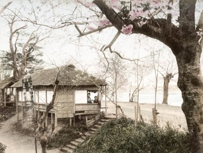 Framed Print : c. 1880s Japan - cherry Avenue, Mukojima, Tokyo Framed Print : c. 1880s Japan - cherry Avenue, Mukojima, Tokyo