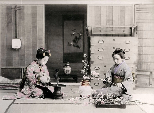 c. 1880s Japan - geishas arranging flowers