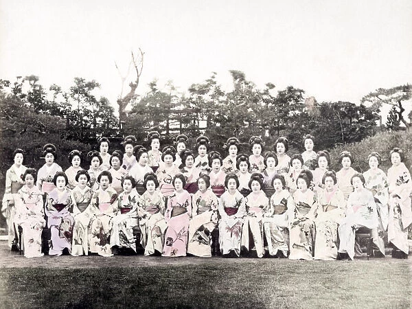 c. 1880s Japan - large group of geishas ornate kimonos