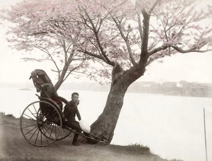 Framed Print : c. 1880s Japan - Mukojima Tokyo, rickshaw Framed Print : c. 1880s Japan - Mukojima Tokyo, rickshaw