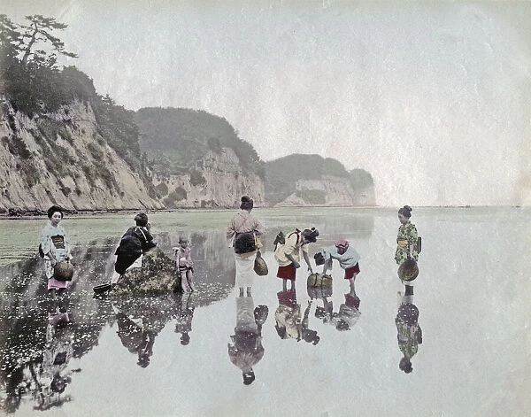 c. 1880s Japan - picking shellfish on the shore