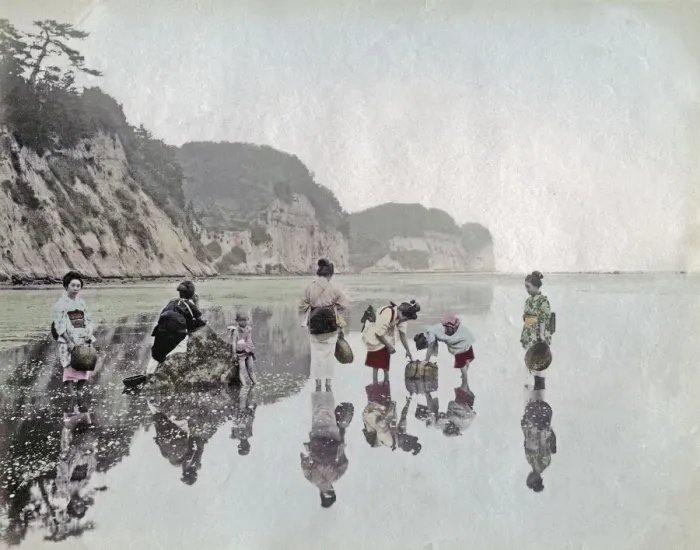 Framed Print : c. 1880s Japan - picking shellfish on the shore Framed Print : c. 1880s Japan - picking shellfish on the shore