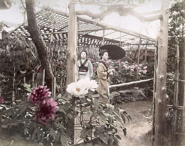 c. 1880s Japan - young women in a flower garden
