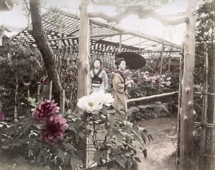 Framed Print : c. 1880s Japan - young women in a flower garden Framed Print : c. 1880s Japan - young women in a flower garden