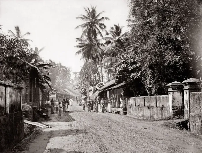 Framed Print : c. 1880s - Sri Lanka Ceylon - street scene Framed Print : c. 1880s - Sri Lanka Ceylon - street scene