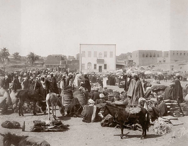 c. 1890 - North Africa - street market with donkeys