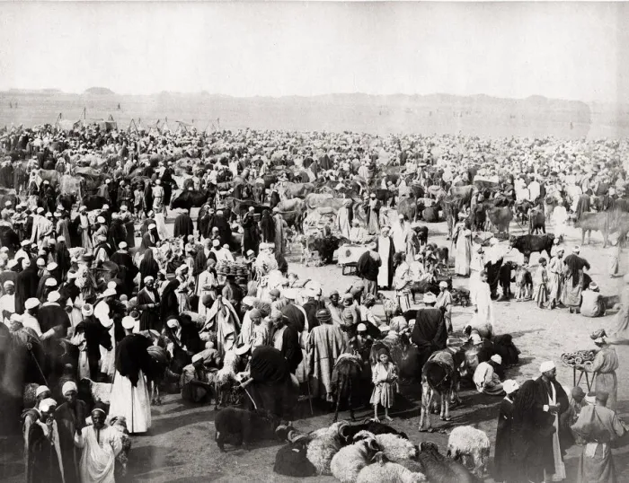 Framed Print : c. 1890s Egypt - sheep market - by JP Sebah Framed Print : c. 1890s Egypt - sheep market - by JP Sebah