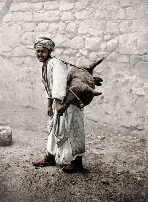 Framed Print : c. 1890s Photochrome Egypt - water carrier