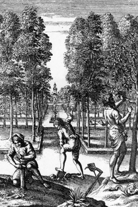 Framed Print : C18 Apple Orchard Framed Print : C18 Apple Orchard