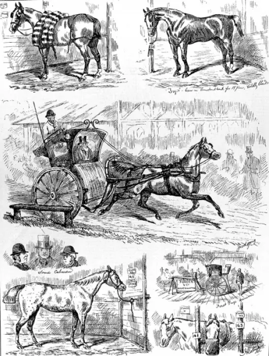 Framed Print : Cab and Cab Horse Show, Alexandra Palace, 1875 Framed Print : Cab and Cab Horse Show, Alexandra Palace, 1875