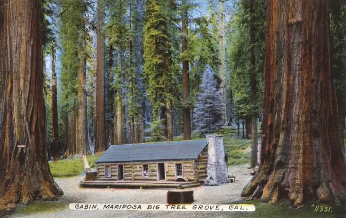 Framed Print : Cabin, Mariposa Big Tree Grove, California, USA Framed Print : Cabin, Mariposa Big Tree Grove, California, USA