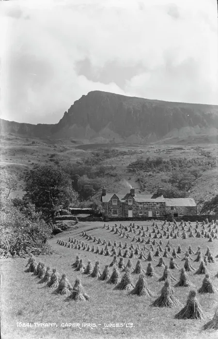 Framed Print : Cader Idris Farm