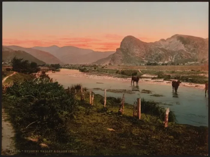 Framed Print : Cader Idris (i. e. Cadair Idris) and Dyssyni Valley (cattle s Framed Print : Cader Idris (i. e. Cadair Idris) and Dyssyni Valley (cattle s