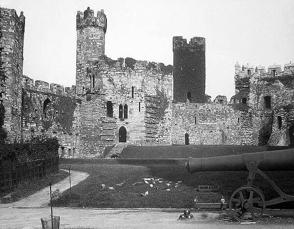 Caernarvon Castle
