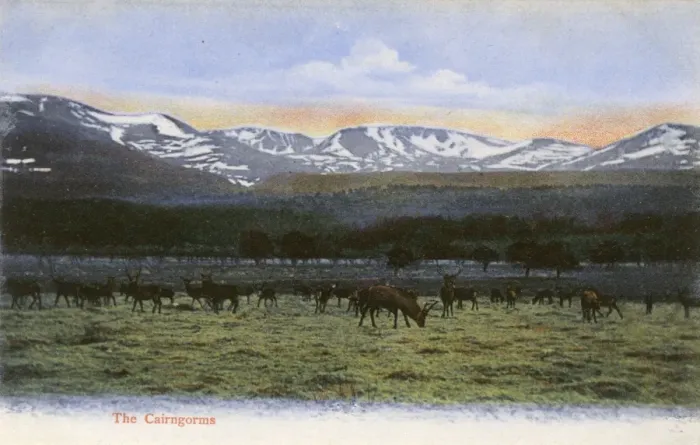 Framed Print : The Cairngorms - Scottish Highlands, Scotland Framed Print : The Cairngorms - Scottish Highlands, Scotland