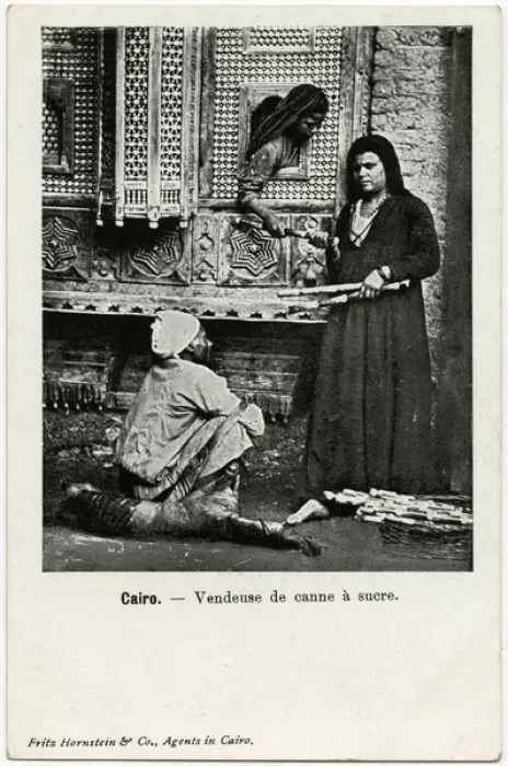 Framed Print : Cairo, Egypt - Sugar Cane Seller Framed Print : Cairo, Egypt - Sugar Cane Seller