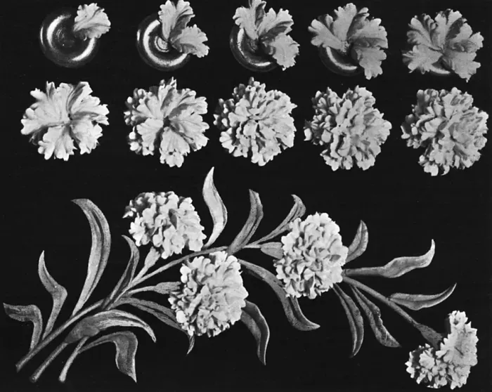 Framed Print : Cake design, flower making Framed Print : Cake design, flower making