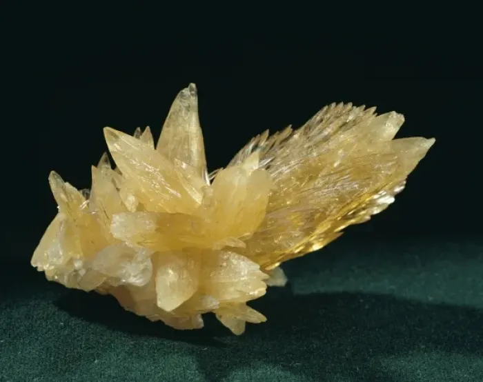 Framed Print : Calcite. Honey-coloured crystals of scalenohedral dog-tooth calcite Framed Print : Calcite. Honey-coloured crystals of scalenohedral dog-tooth calcite