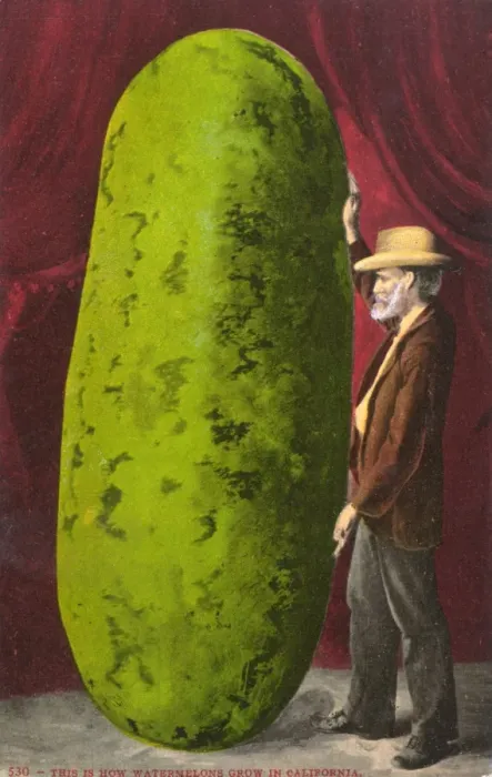 Framed Print : Californian farmer with an immense watermelon Framed Print : Californian farmer with an immense watermelon