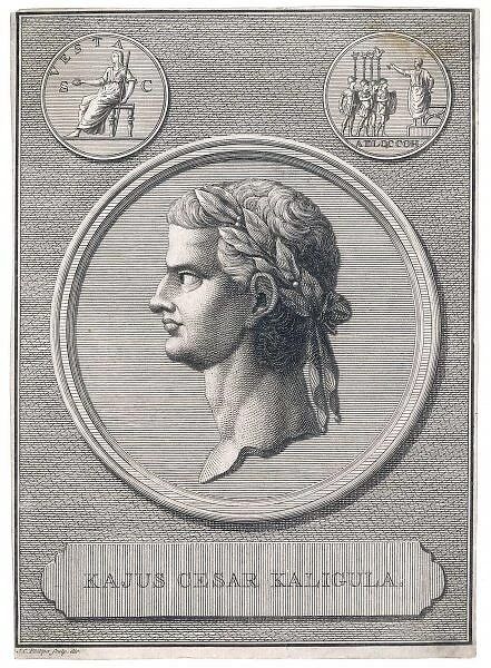 Caligula  /  Phillips