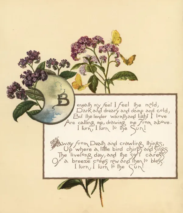 Framed Print : Calligraphic poem in box with flowers and butterflies Framed Print : Calligraphic poem in box with flowers and butterflies