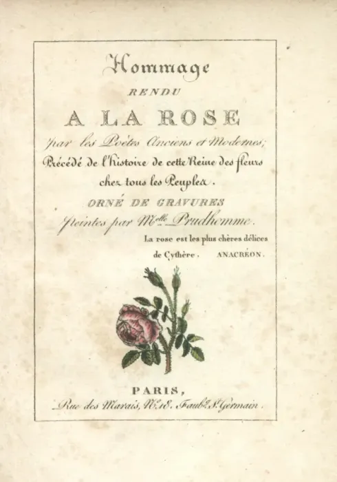 Framed Print : Calligraphic title page with vignette of a moss rose Framed Print : Calligraphic title page with vignette of a moss rose