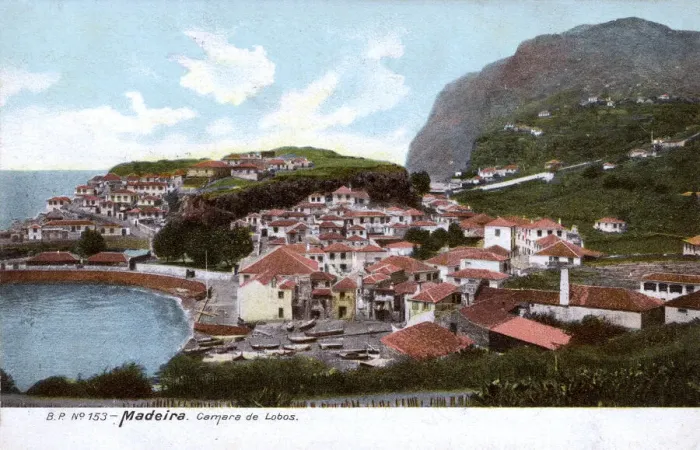 Framed Print : Camara de Lobos, near Funchal, Madeira Framed Print : Camara de Lobos, near Funchal, Madeira